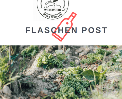 Newsletter Flaschenpost Vol. 9